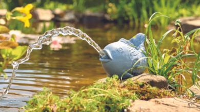 Oase Pond Pumps: Your Essential Guide to Creating a Thriving Water Garden