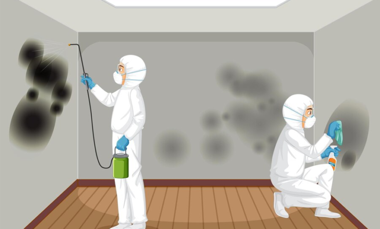 Top 4 Mold Clean Up Mistakes and How to Avoid Them