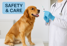 Core Vaccines for Dogs: What Every Pet Owner Should Know