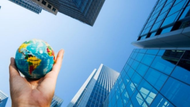 Setting Up a European Subsidiary: What Parent Companies Should Know