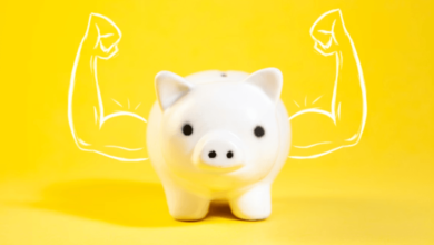 A Beginner's Guide to Building a Strong Financial Rating from Scratch