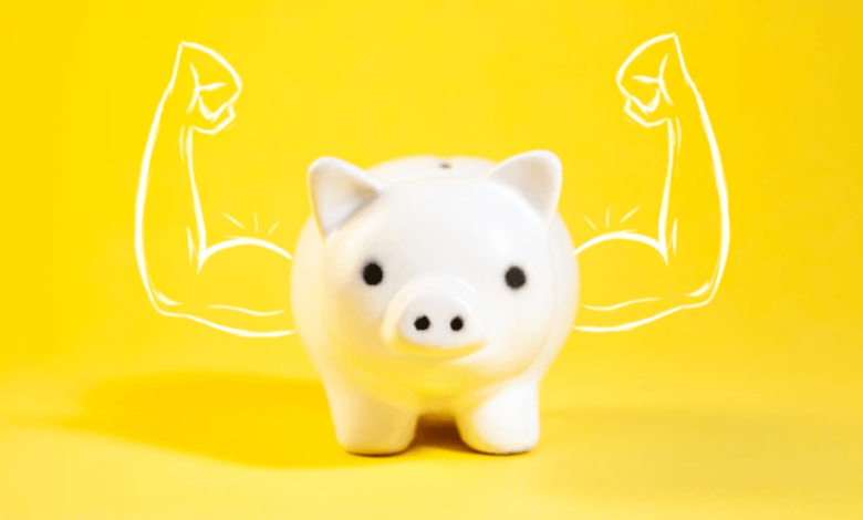 A Beginner's Guide to Building a Strong Financial Rating from Scratch