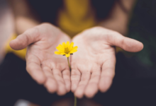 Conscious Presence: How to Preserve Values in Digital Chaos