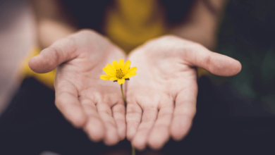 Conscious Presence: How to Preserve Values in Digital Chaos