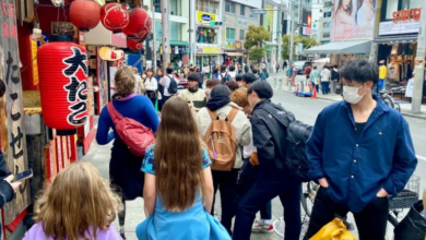 What Makes Osaka a Better Base for Exploring Japan Than Most Travellers Expect?