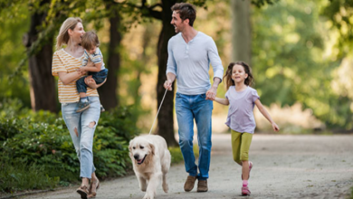 When Should You Contact a New Hampshire Family Law Attorney?
