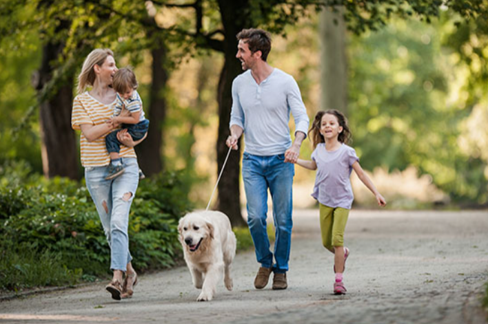 When Should You Contact a New Hampshire Family Law Attorney?