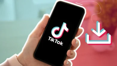 Best TikTok Downloader Online for Fast and Free Downloads